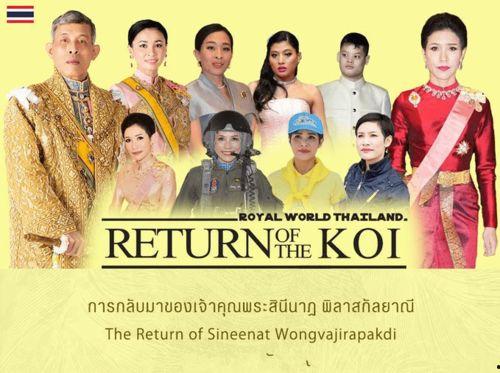 泰国王室最新爆料海报,最新爆料海报曝光王室神秘面纱