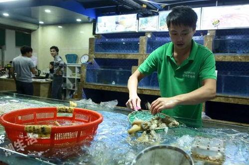 小博海鲜爆料视频,揭秘海鲜市场那些不为人知的秘密