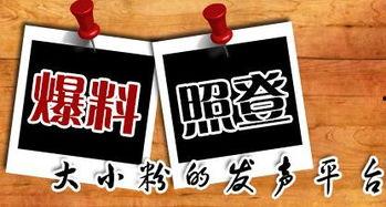 重庆刘先生最新爆料,揭秘某事件背后惊人真相